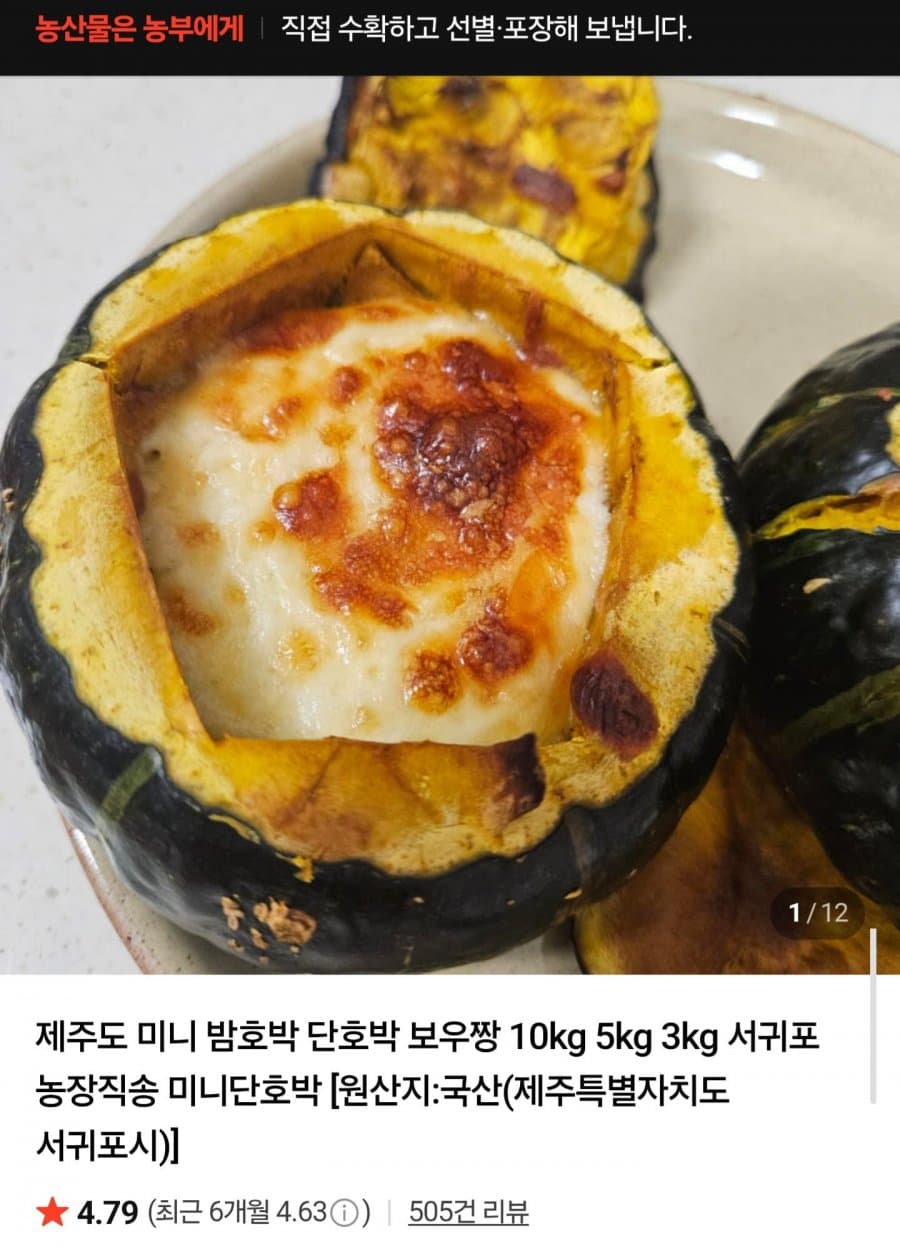 제주 미니밤호박 3kg