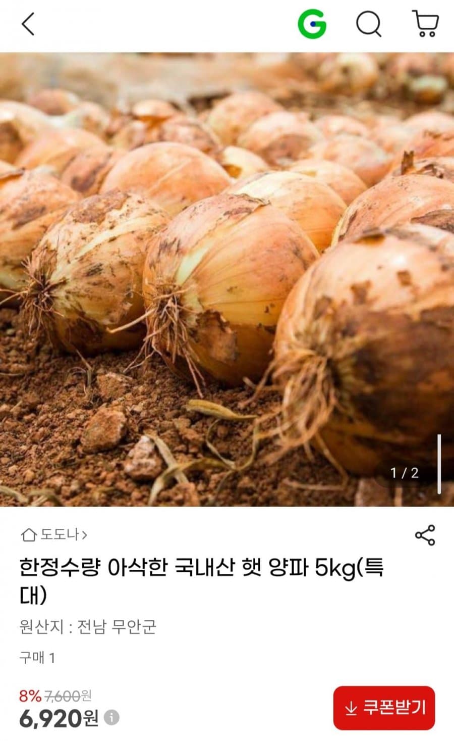국내산 햇 양파 5kg
