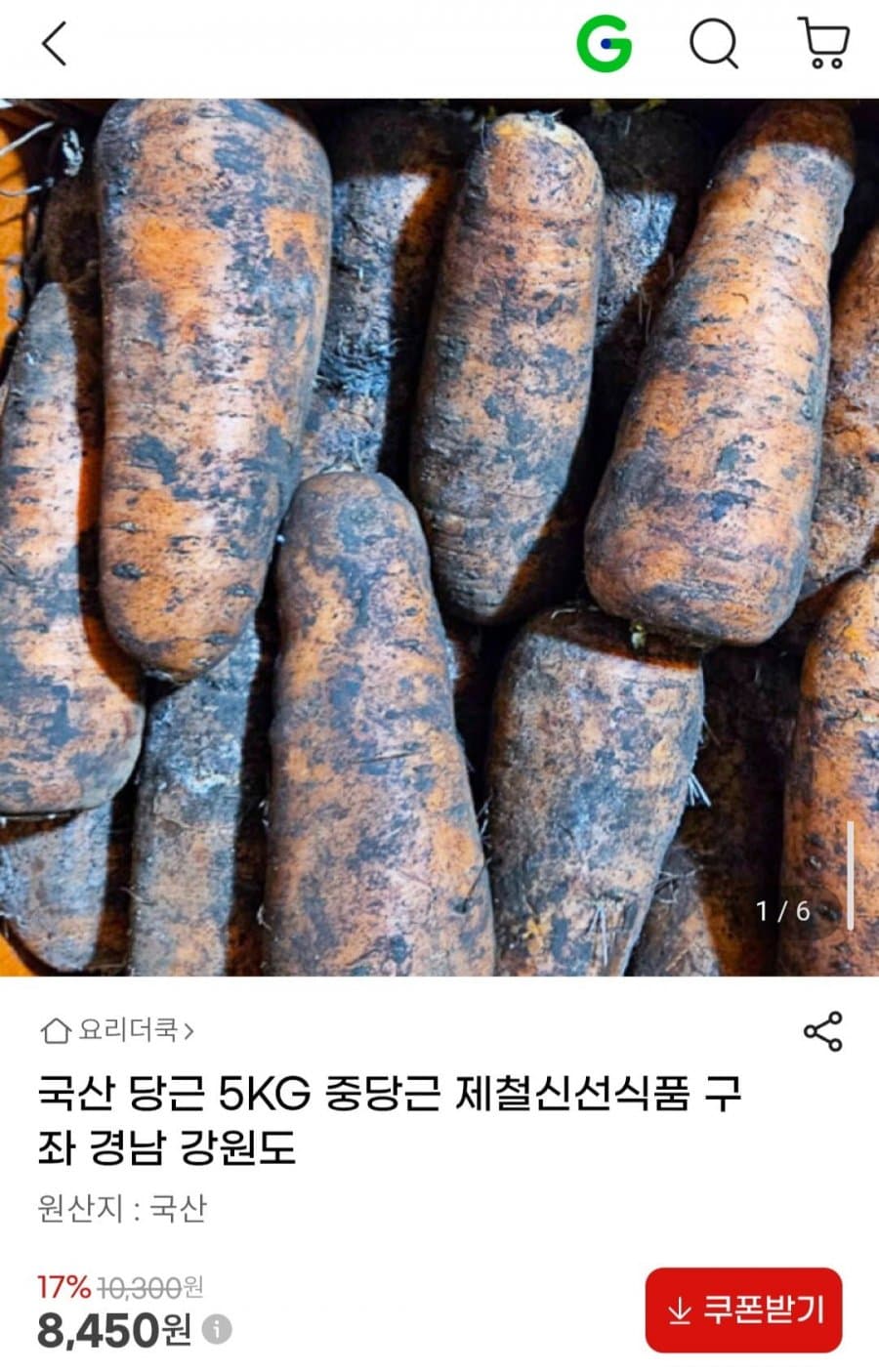 국산 당근 5KG