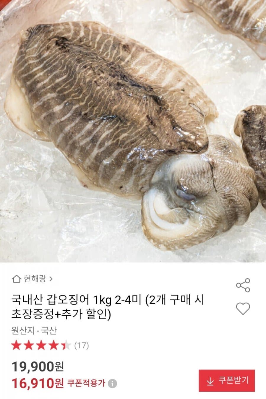 국내산 갑오징어 1kg