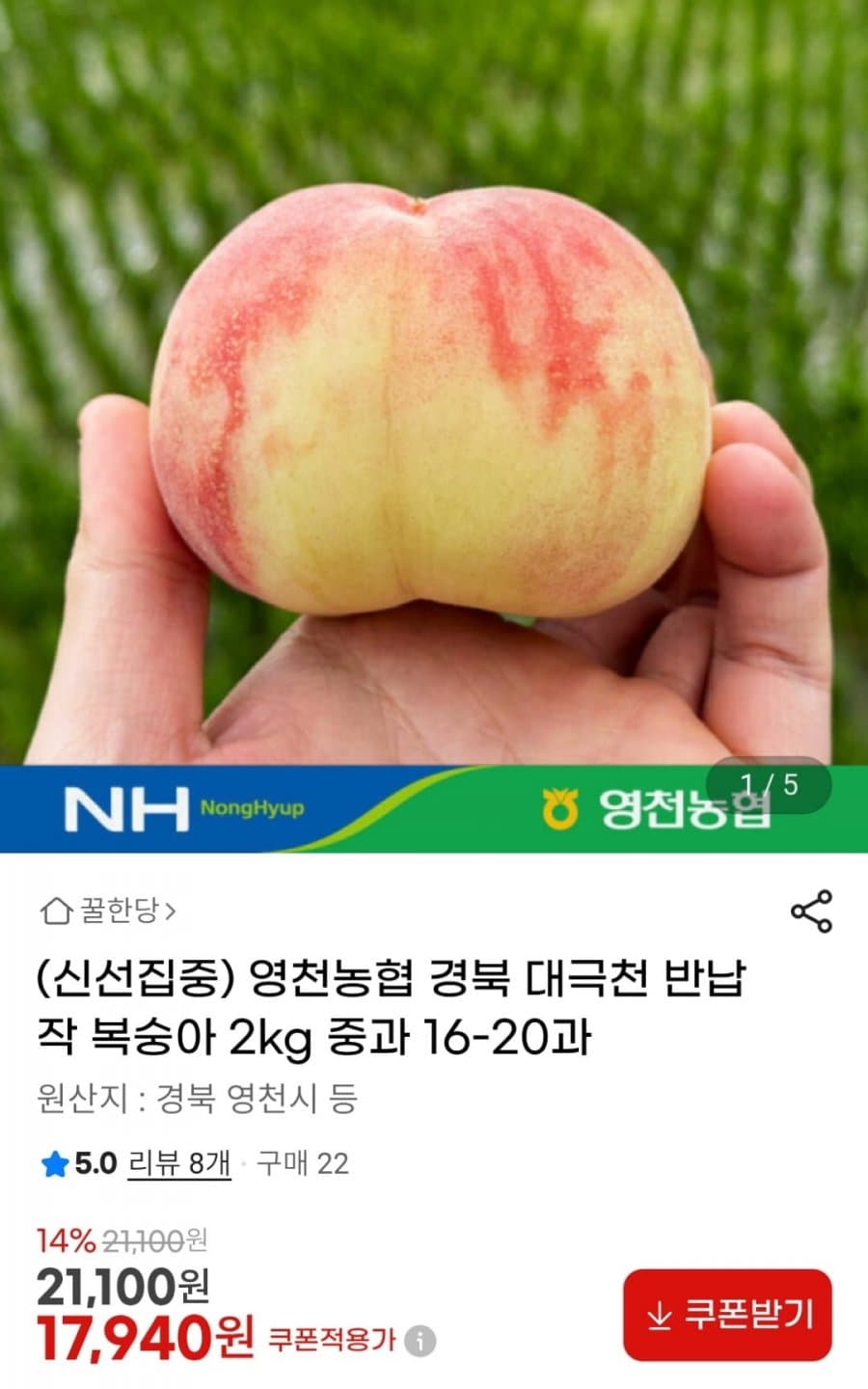 영천농협 대극천 복숭아 2kg