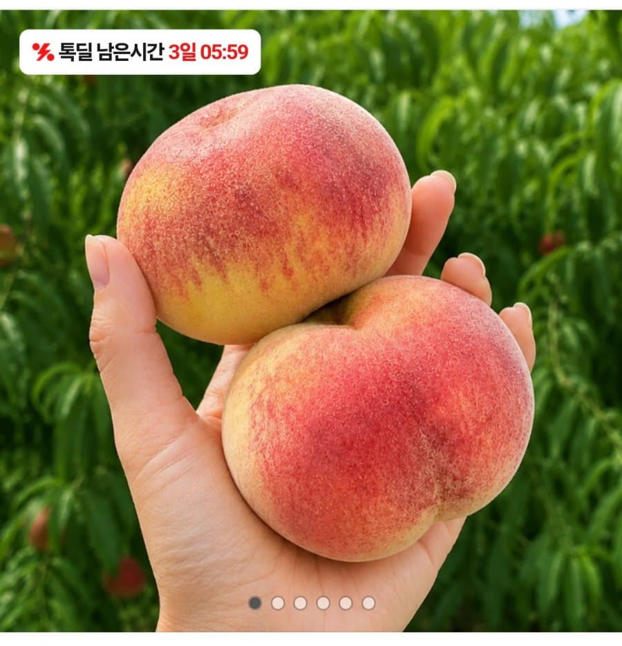 대극천 백도 복숭아 1kg