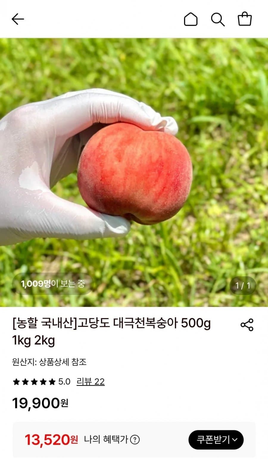 대극천복숭아 1kg