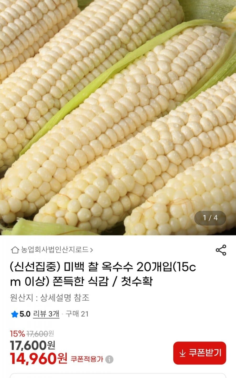미백 찰옥수수 20개
