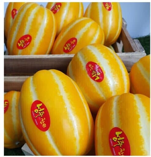 성주 참외 9kg