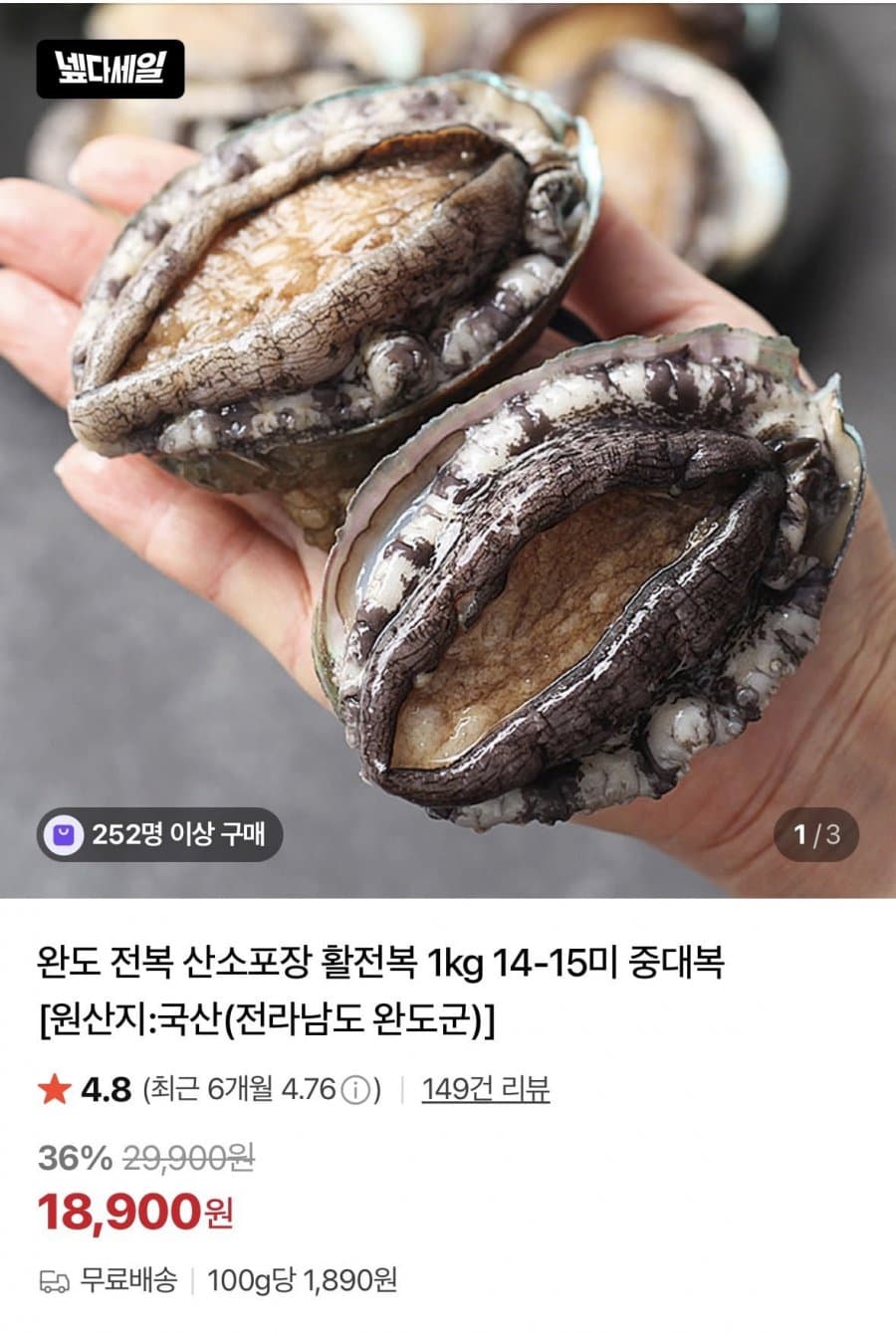 완도 활전복 1kg 14-15미