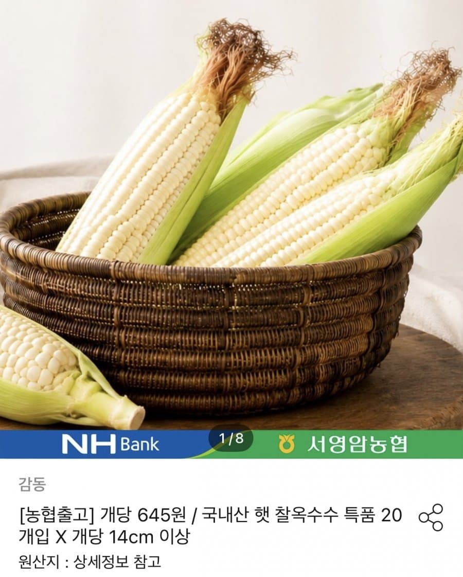 국내산 햇 찰옥수수 20개