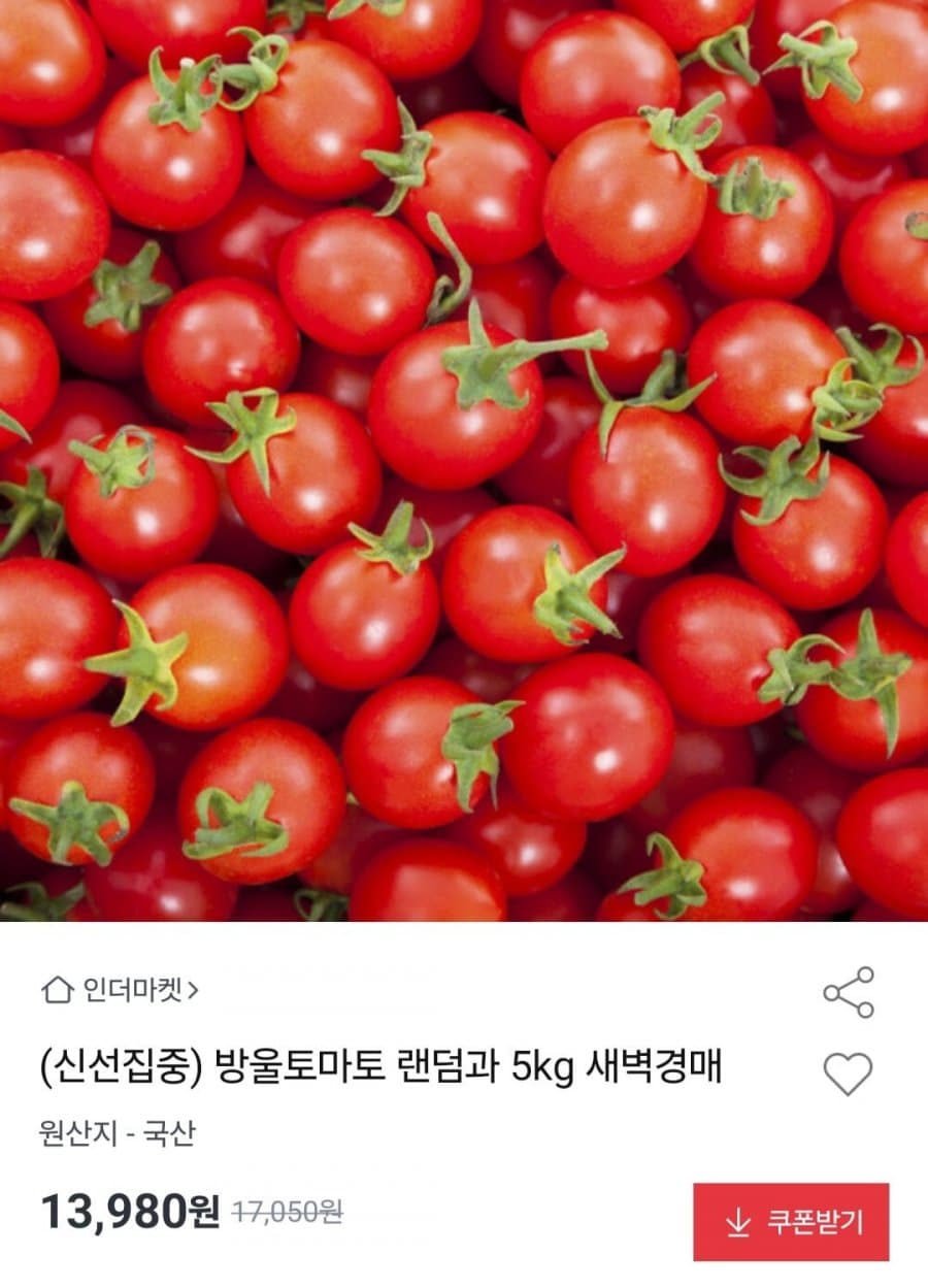 방울토마토 5kg
