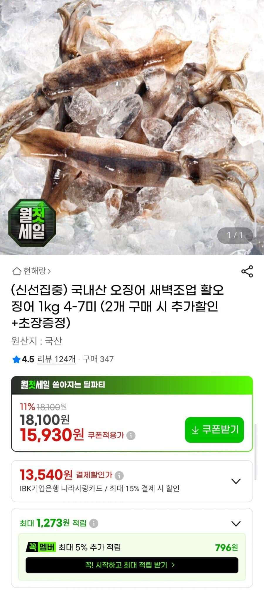 국내산 활 오징어 1kg