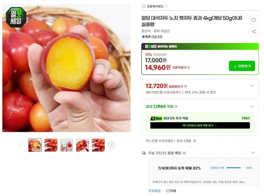 대석자두 중과 4kg