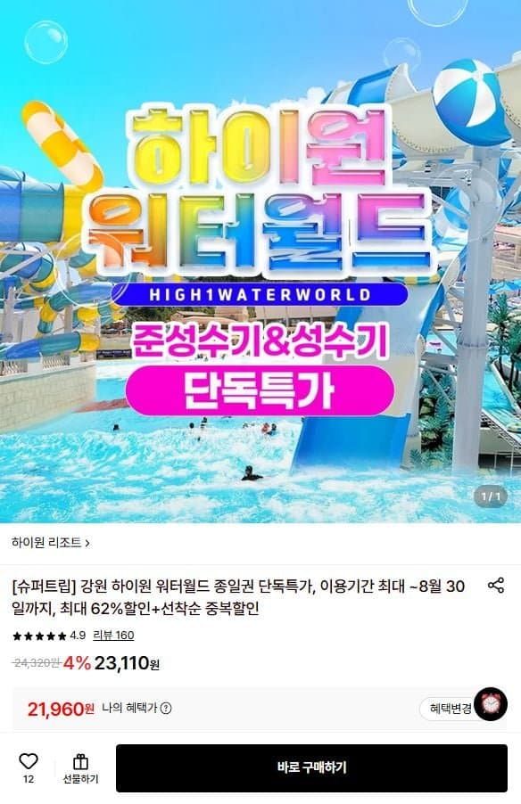 하이원 워터월드 종일권