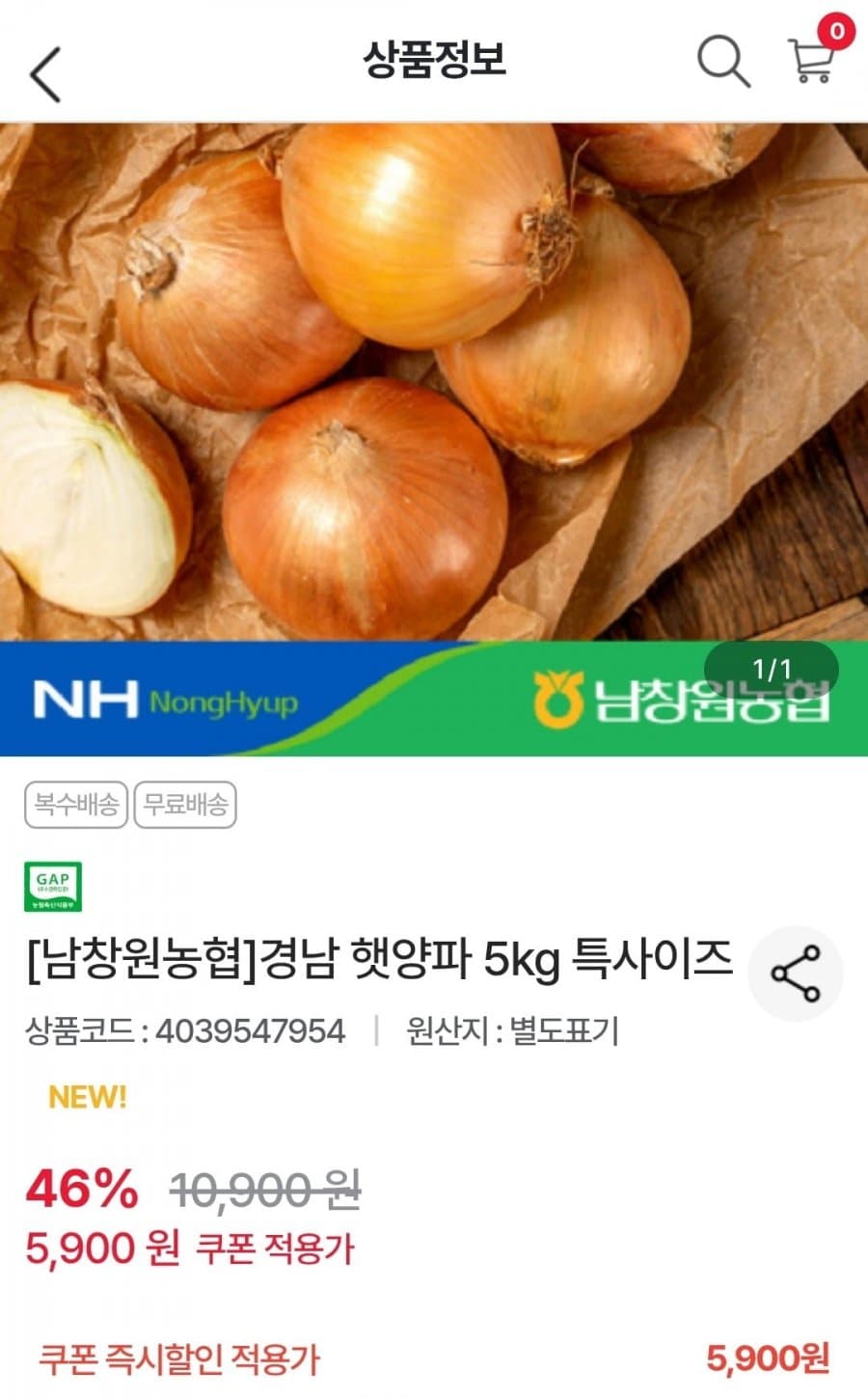 경남 햇양파 5kg