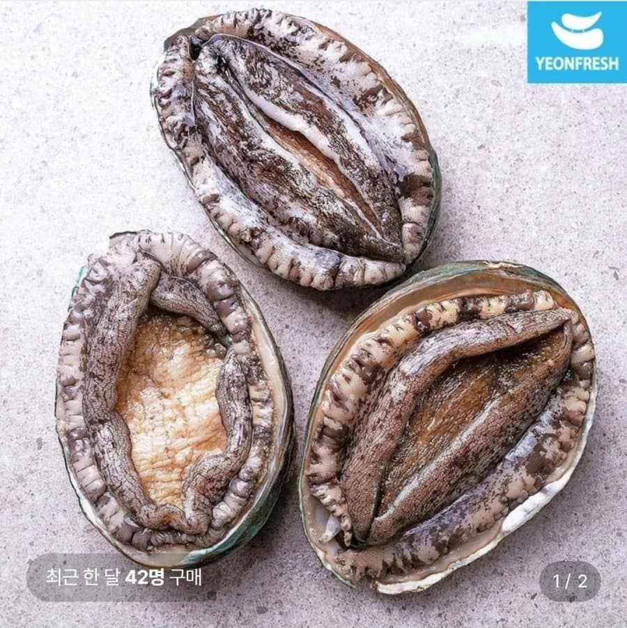 완도 활전복 1kg