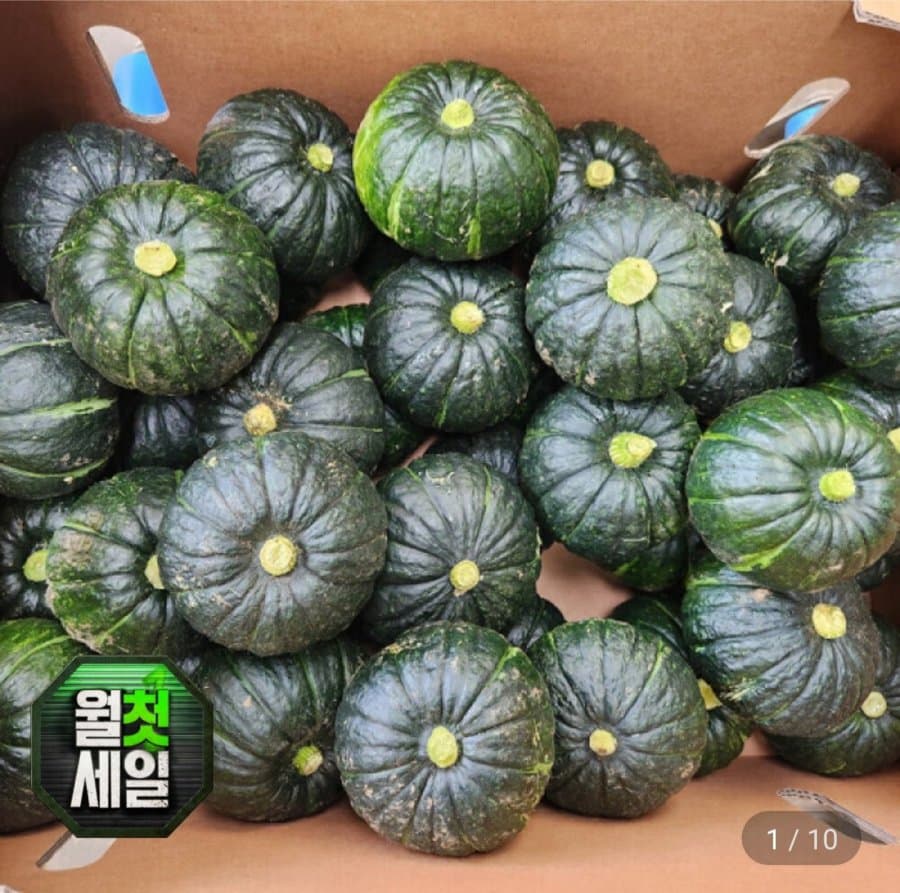 제주 미니 밤호박 10kg