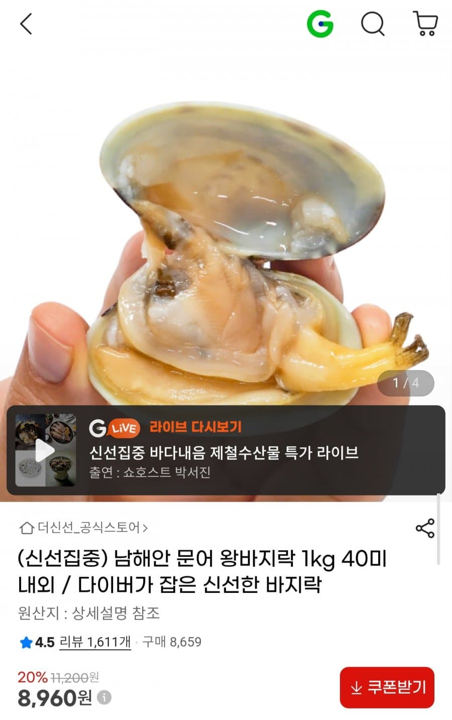 남해안 문어 왕바지락 1kg 40미 내외