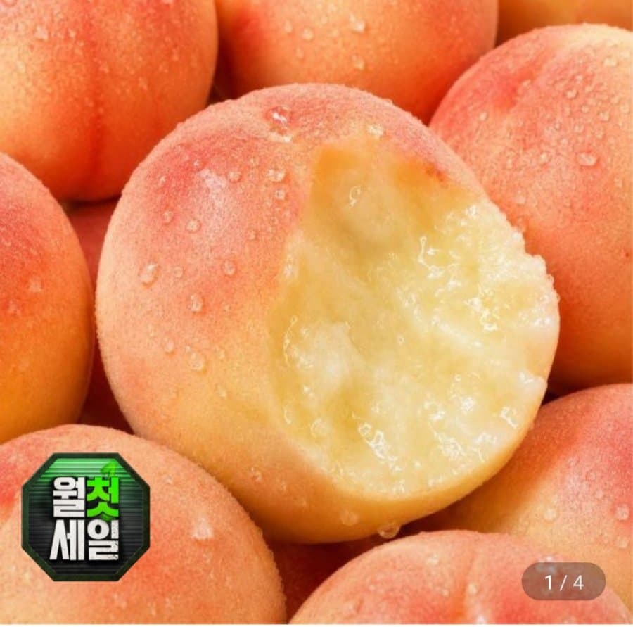 딱딱이 백도 복숭아 2kg