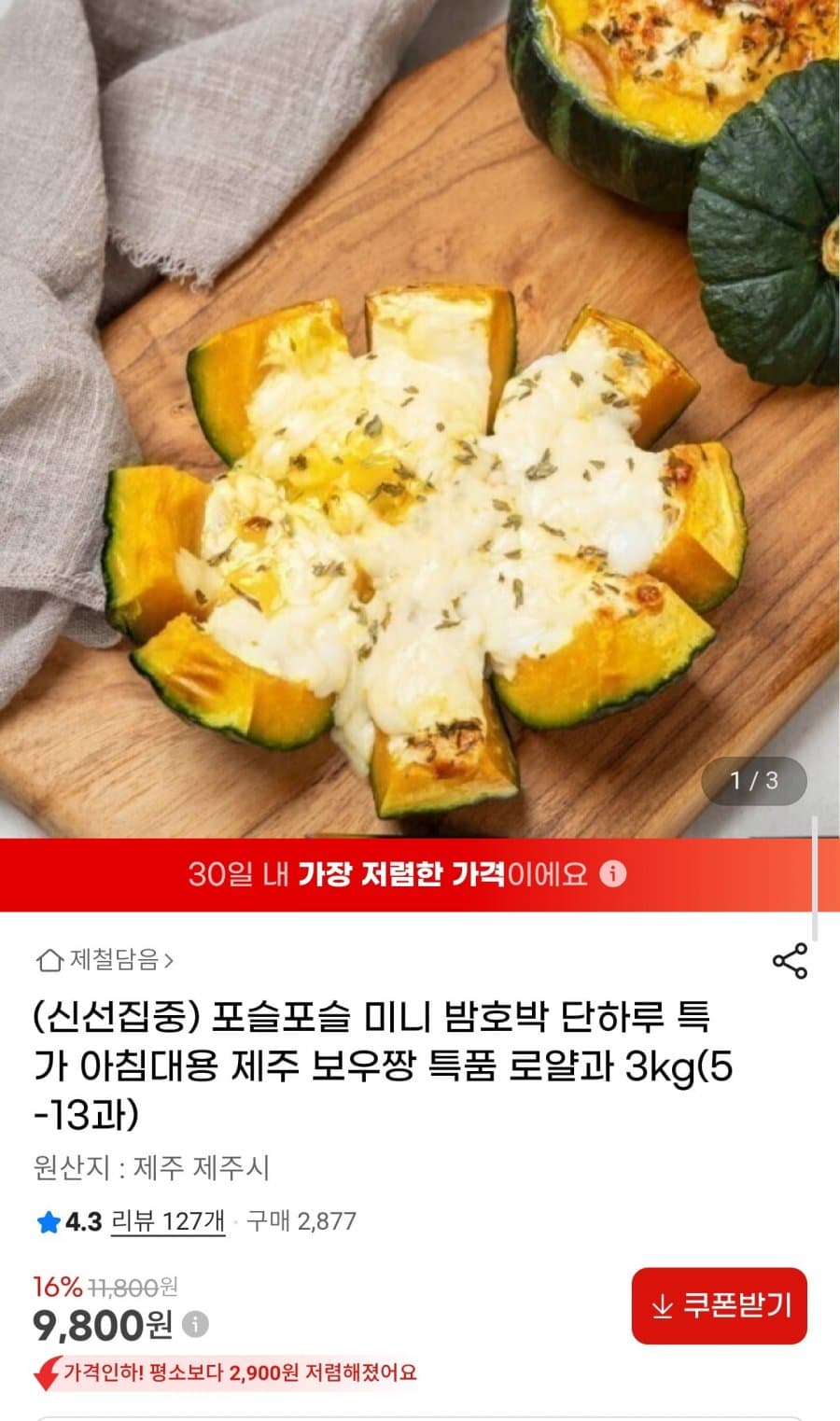 제주 미니밤호박 보우짱 3kg