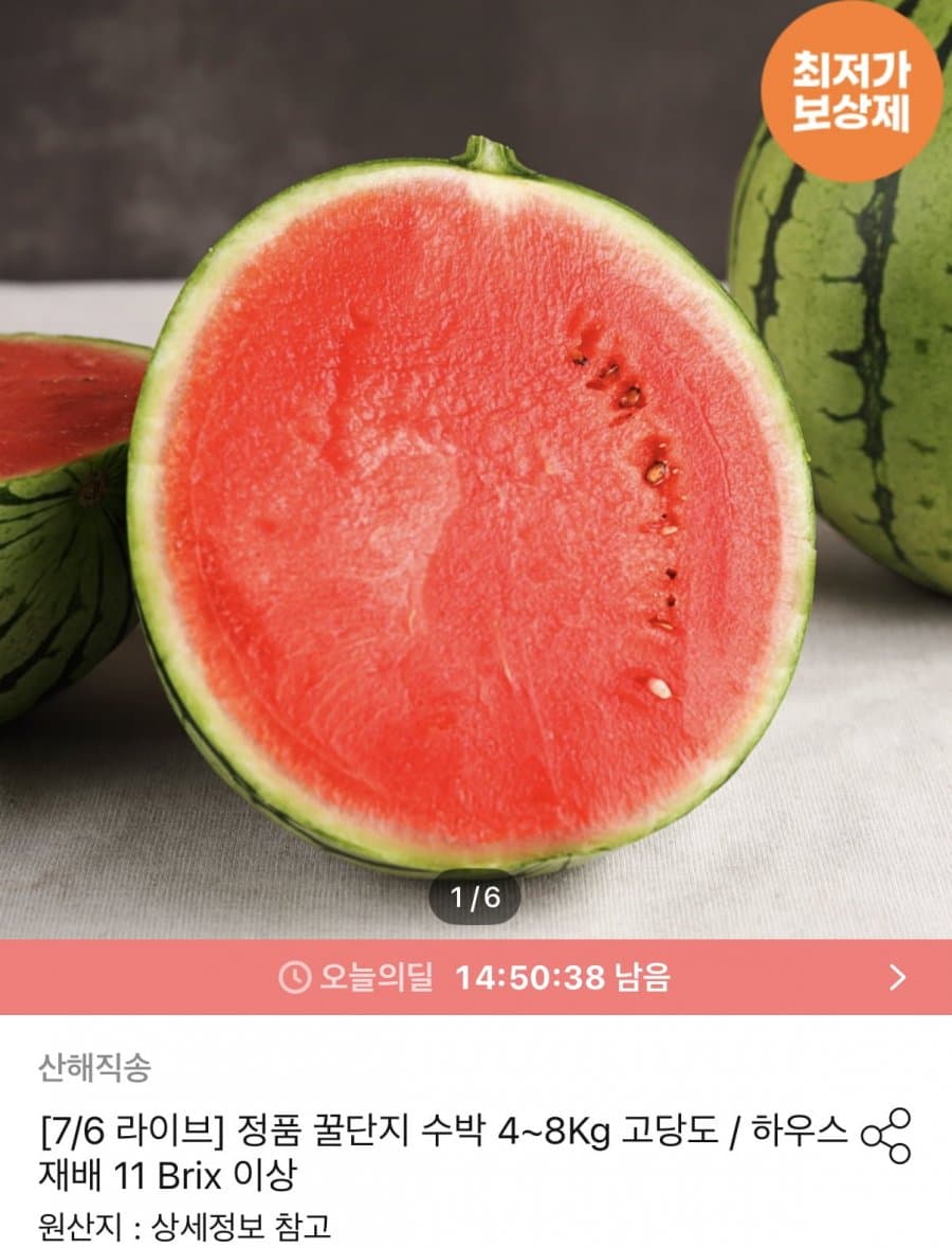 꿀단지 수박 6~7kg