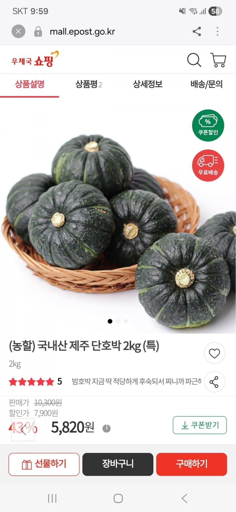 제주 단호박 2kg