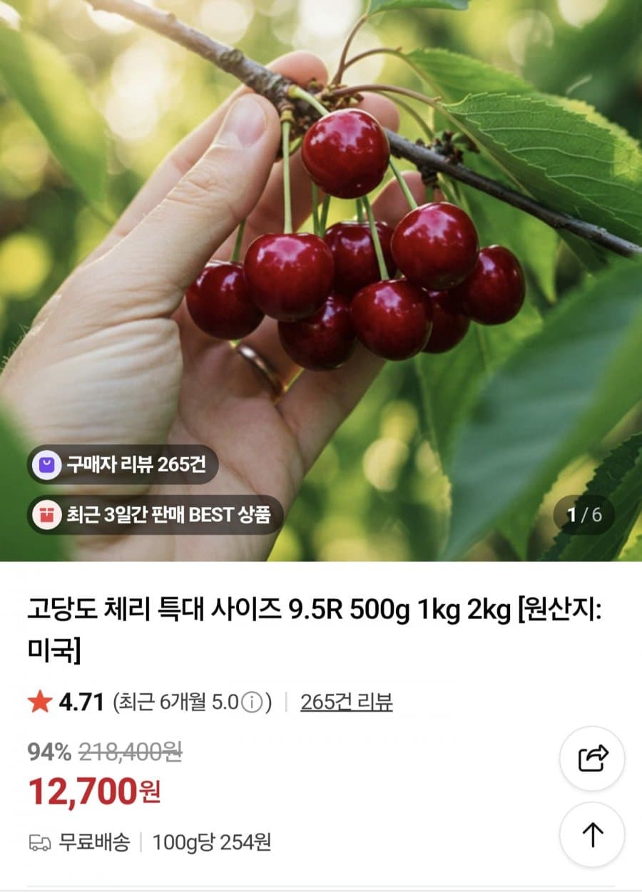 미국산 체리 9.5R 500g