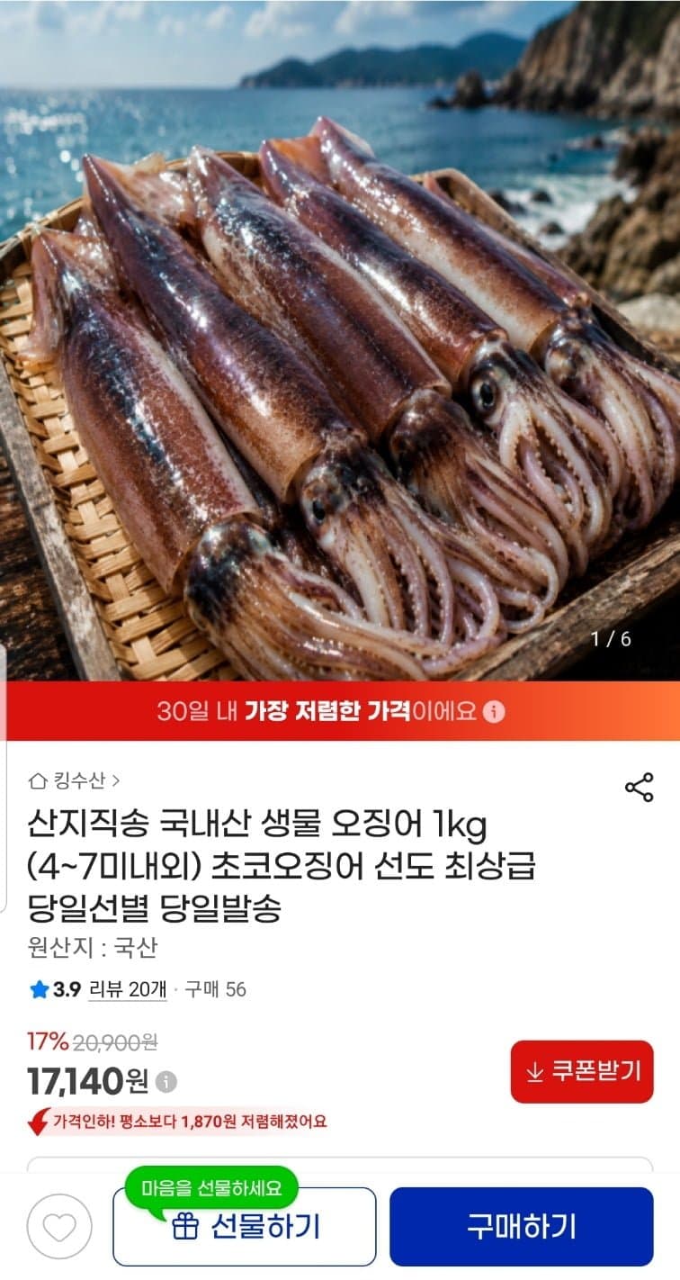 국내산 생물 오징어 1kg