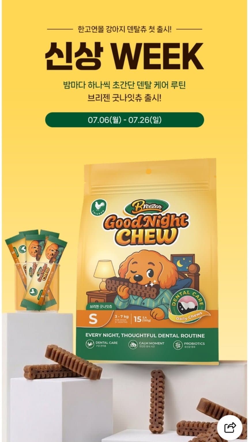 브리젠 굿나잇츄 덴탈껌