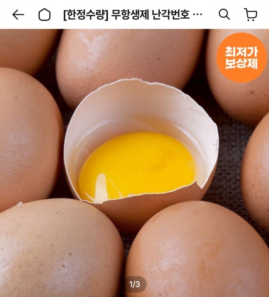유정란 40구