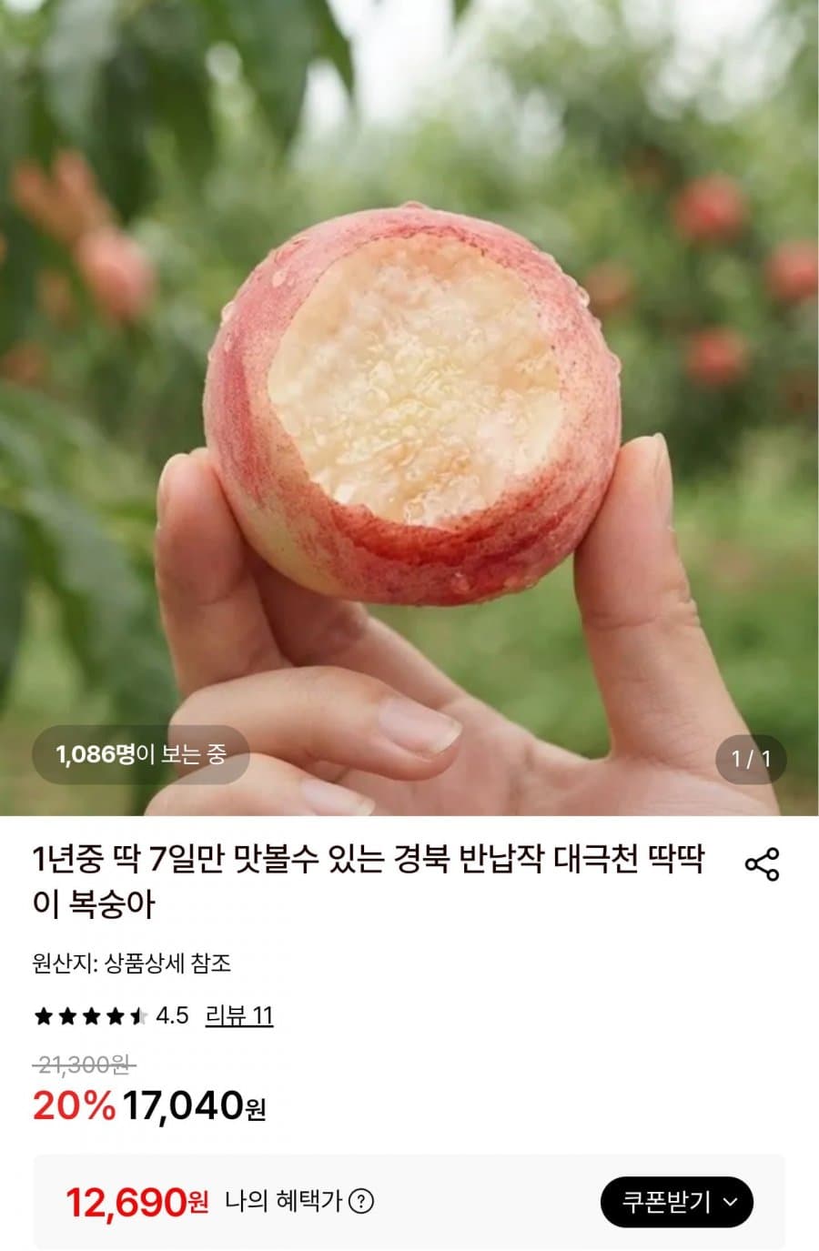 대극천 딱딱이 복숭아 2kg