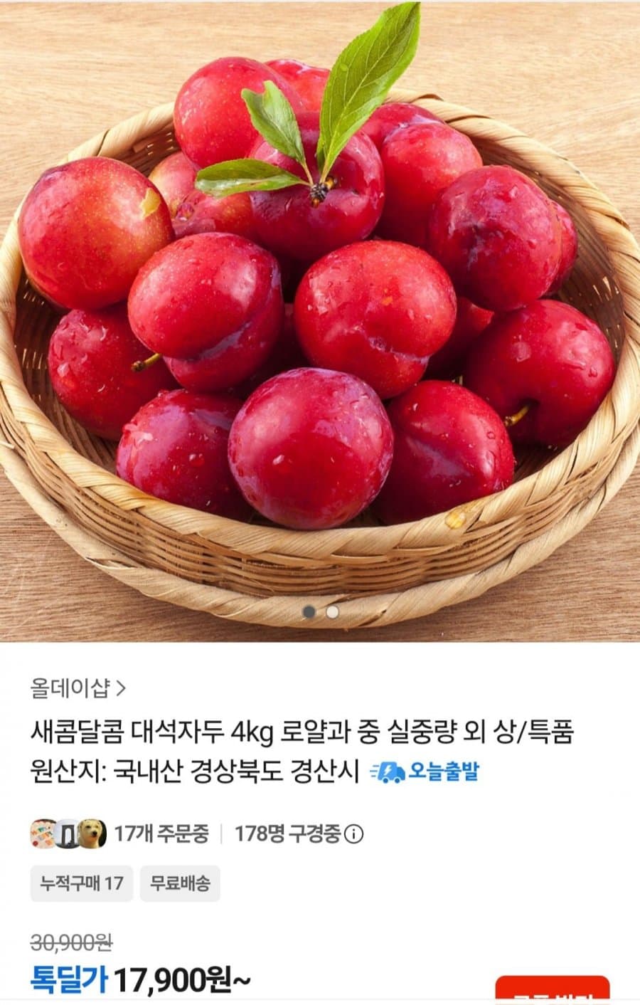 대석자두 로얄과 4kg