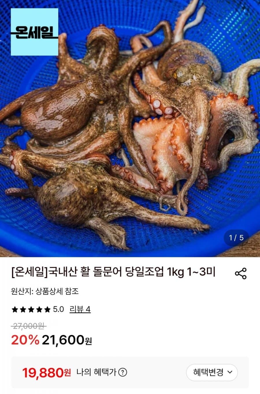 국내산 활 돌문어 1kg