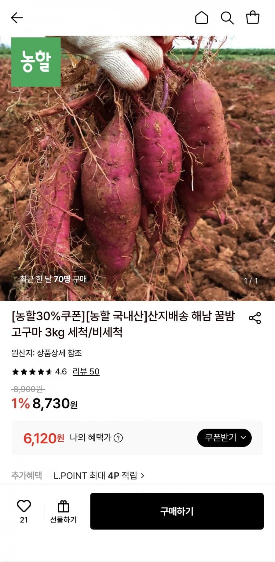 해남 꿀밤고구마 3kg