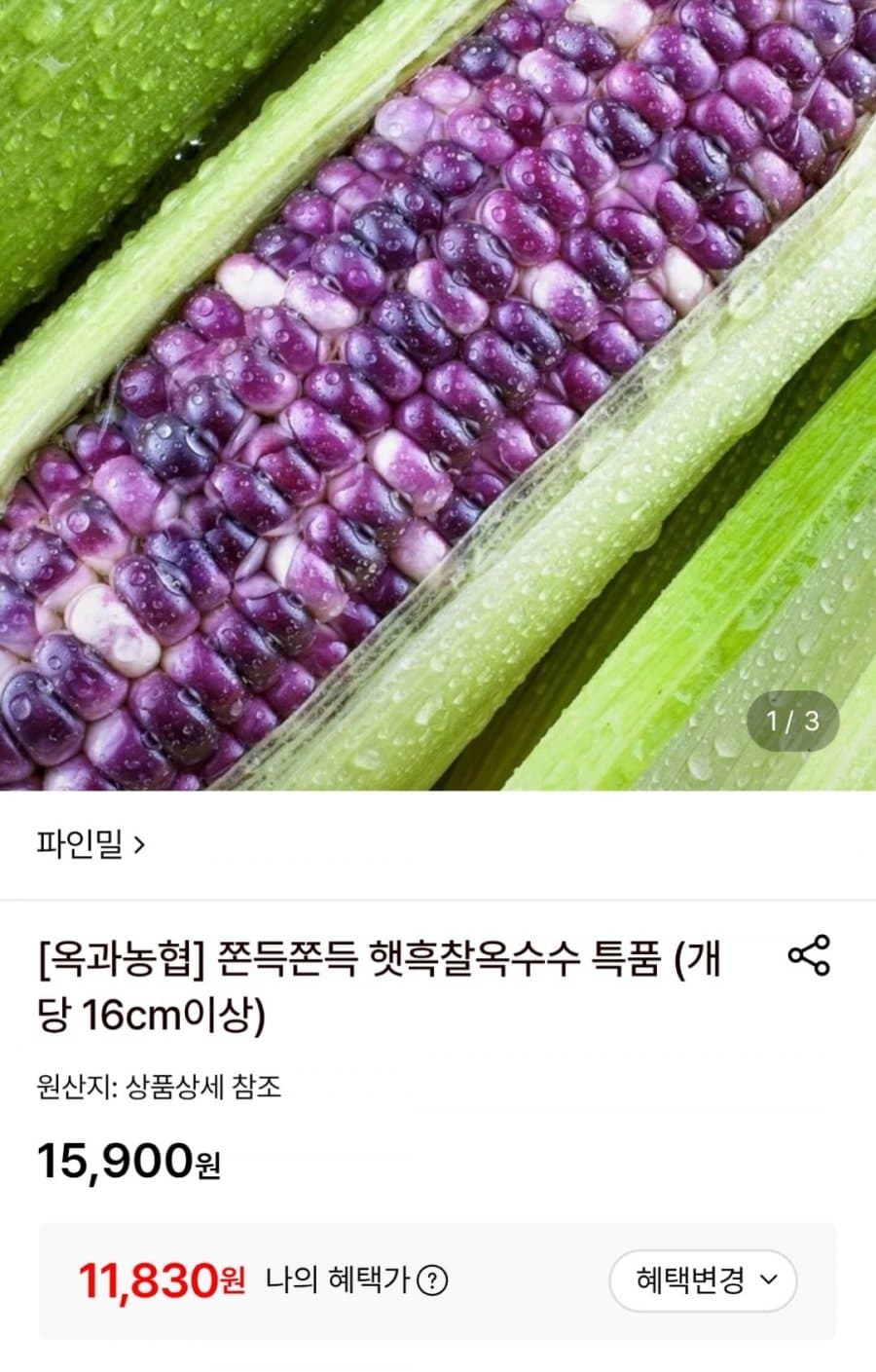 햇흑찰옥수수 10송이