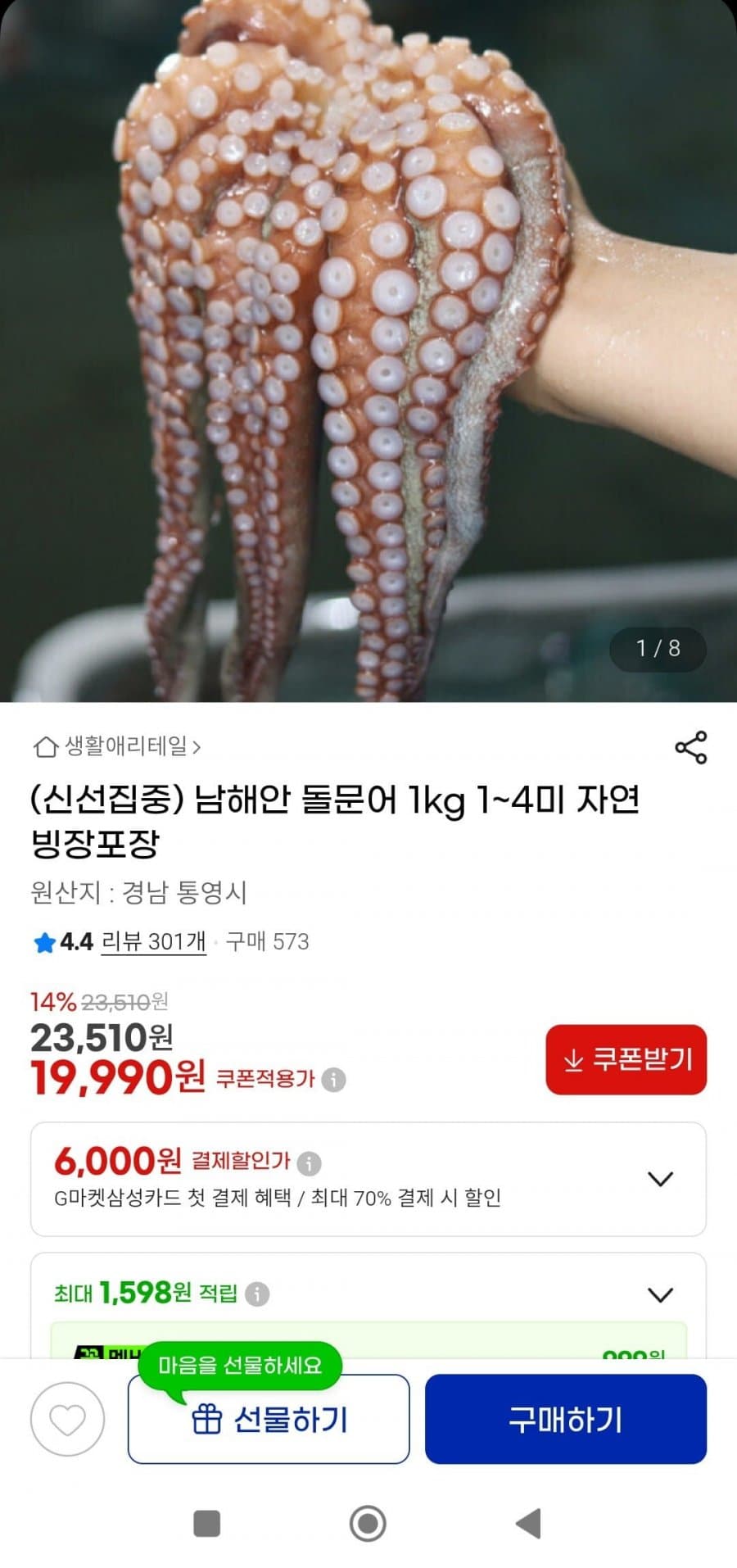 남해안 돌문어 1kg