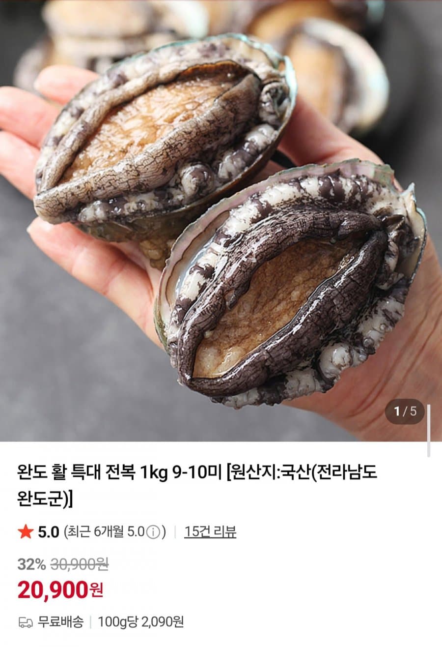 완도 활 특대 전복 1kg