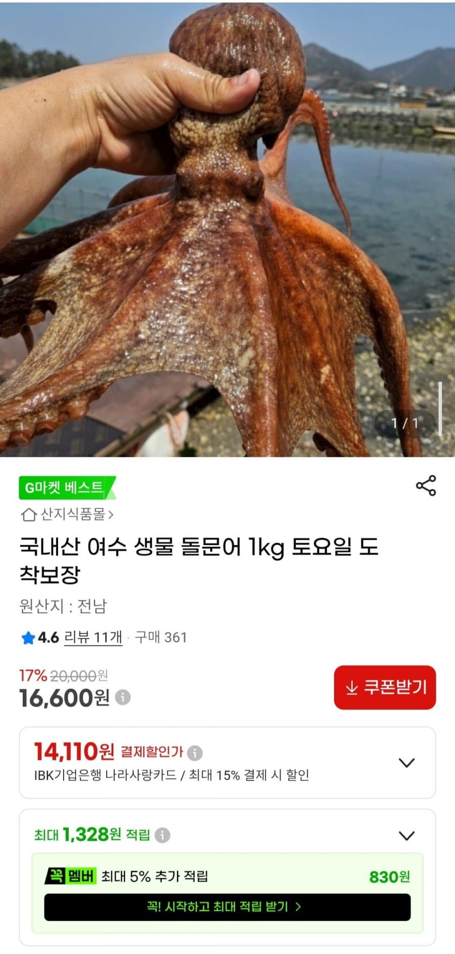 여수 생물 돌문어 1kg