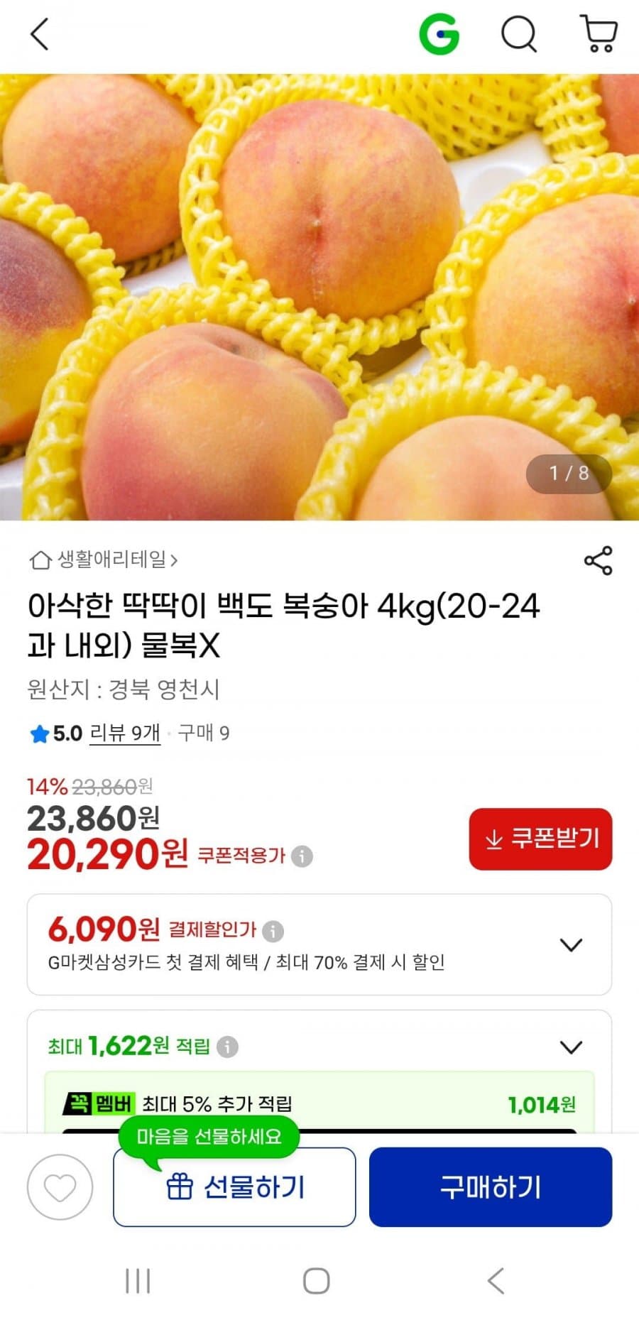 딱딱이 백도 복숭아 4kg
