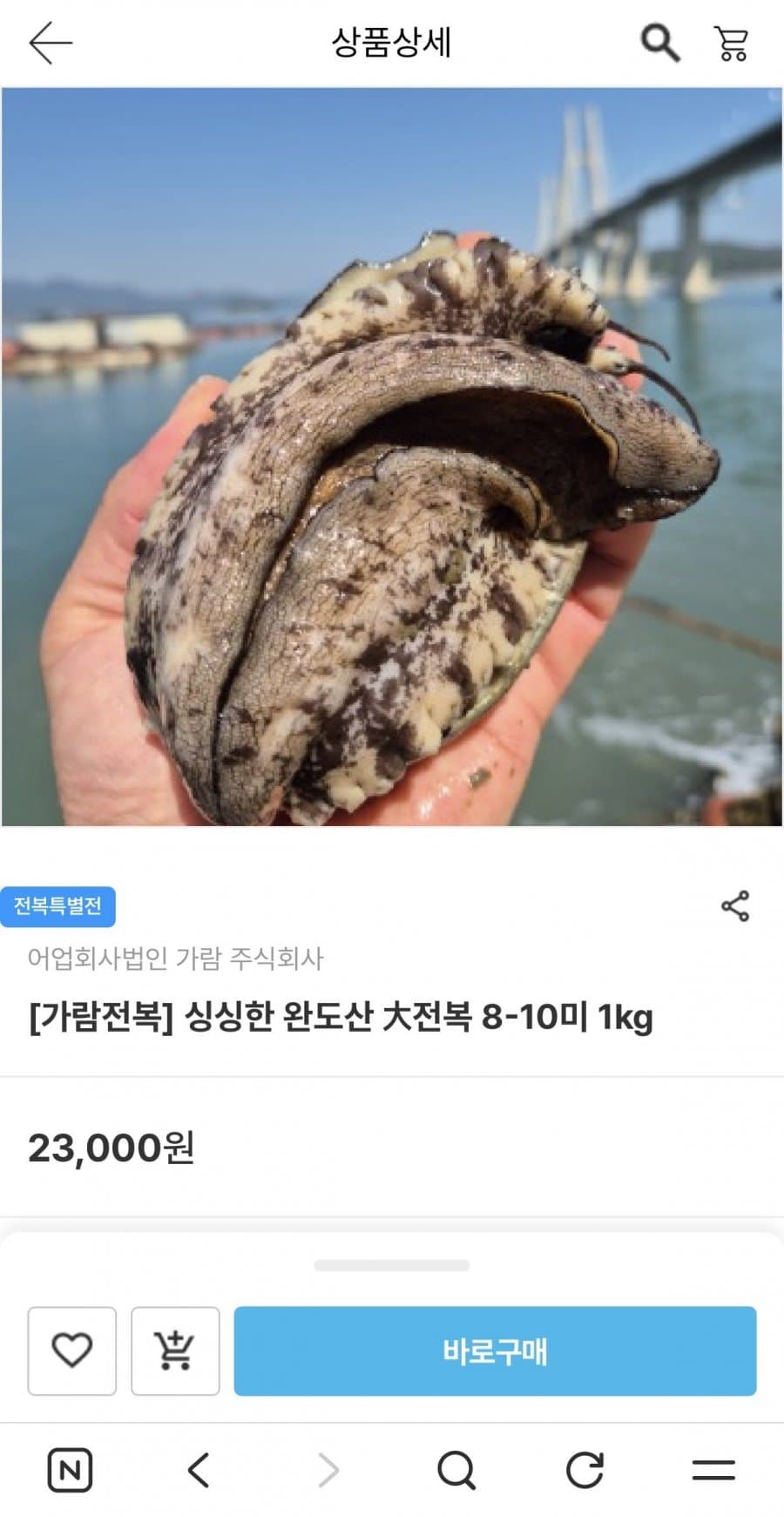 완도산 전복 8-10미 1kg