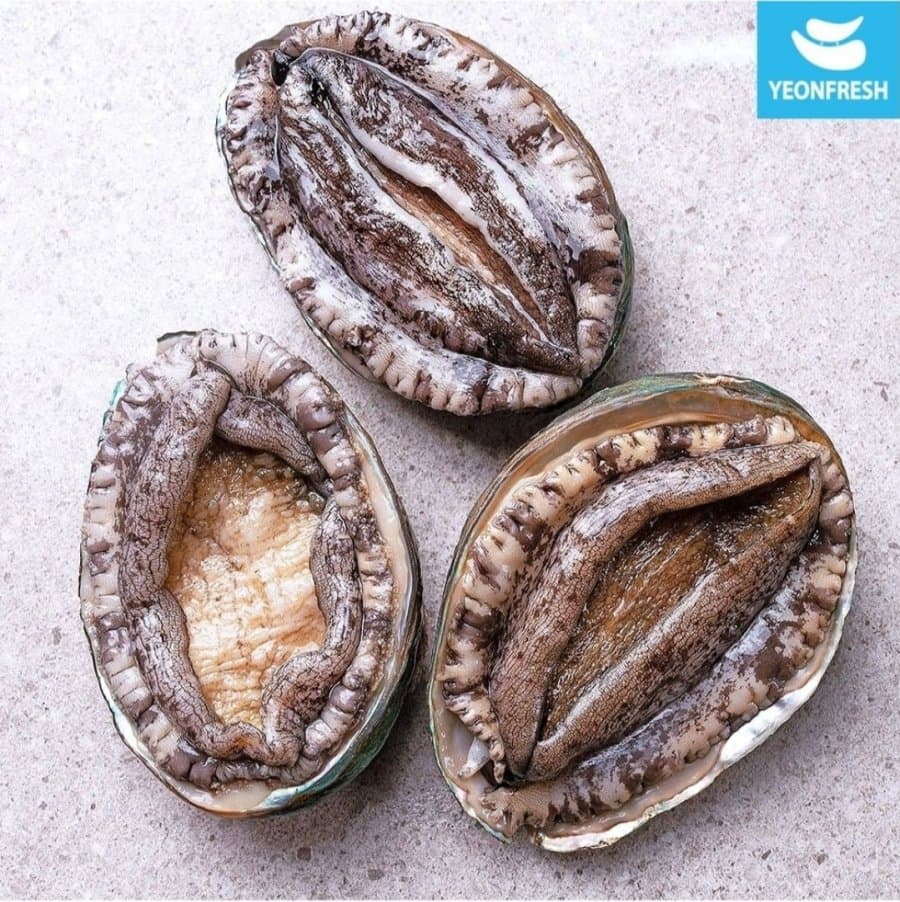 완도 활 전복 1kg