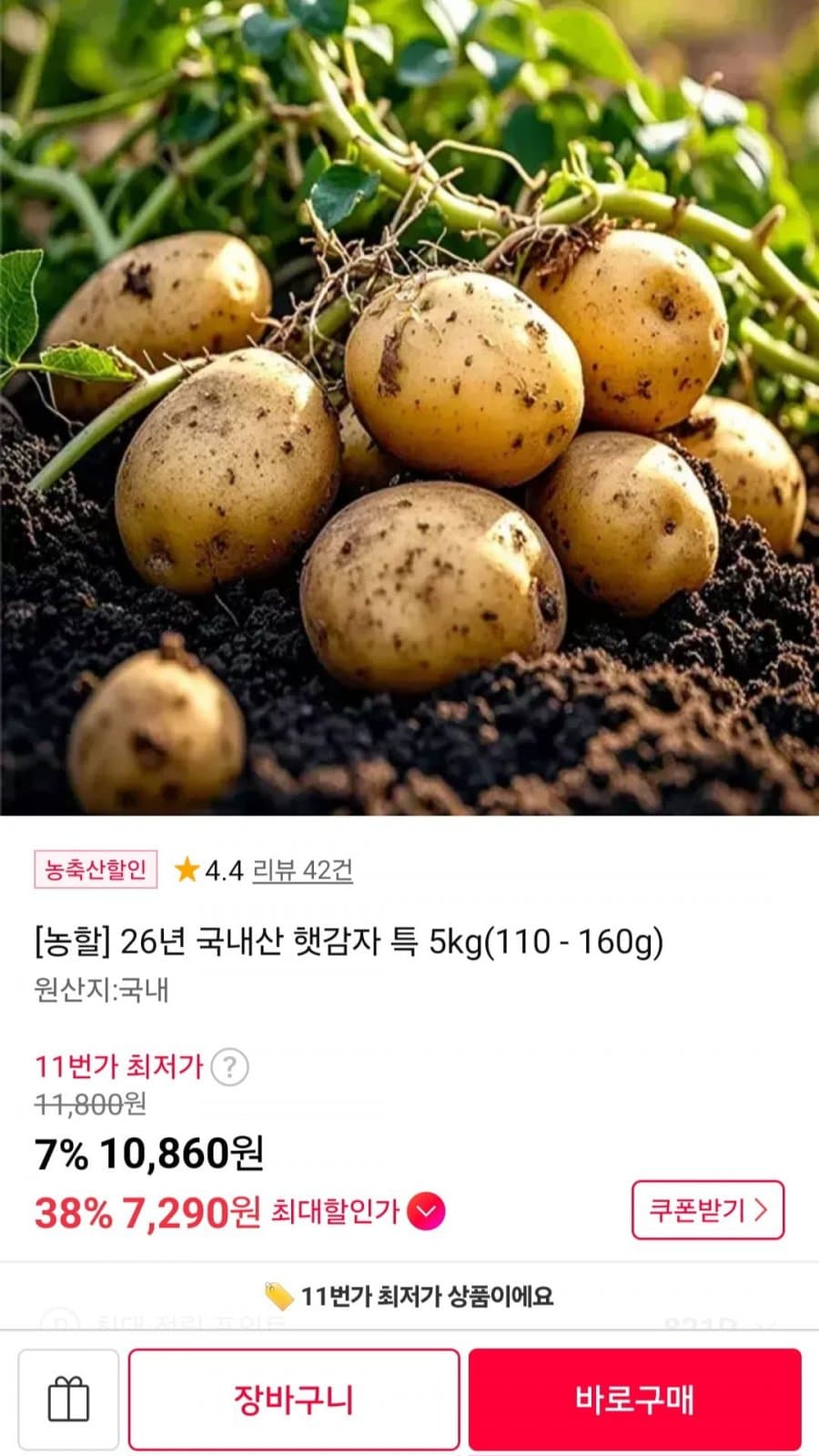 국내산 햇감자 5kg
