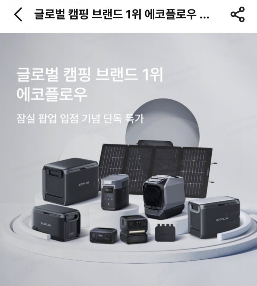 에코플로우 웨이브3