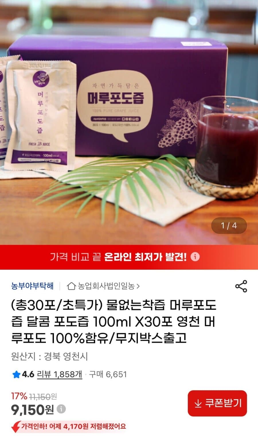머루포도즙 100ml 30포