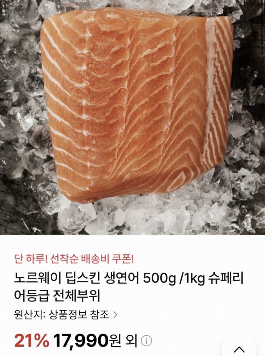노르웨이 딥스킨 생연어 500g