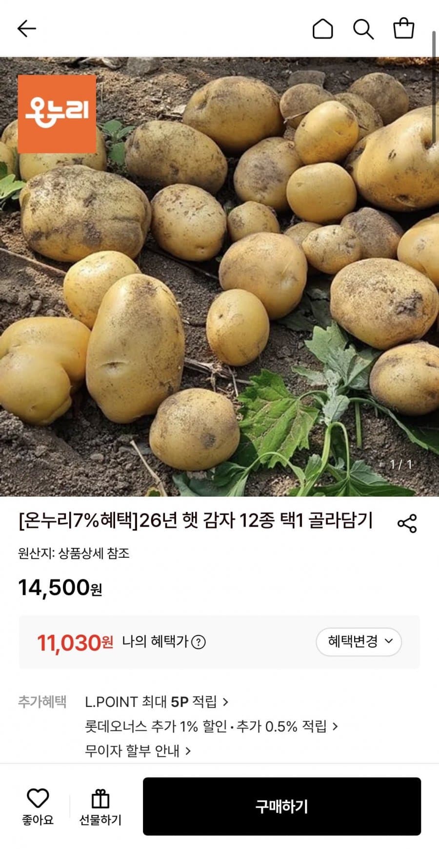 햇 감자 10kg