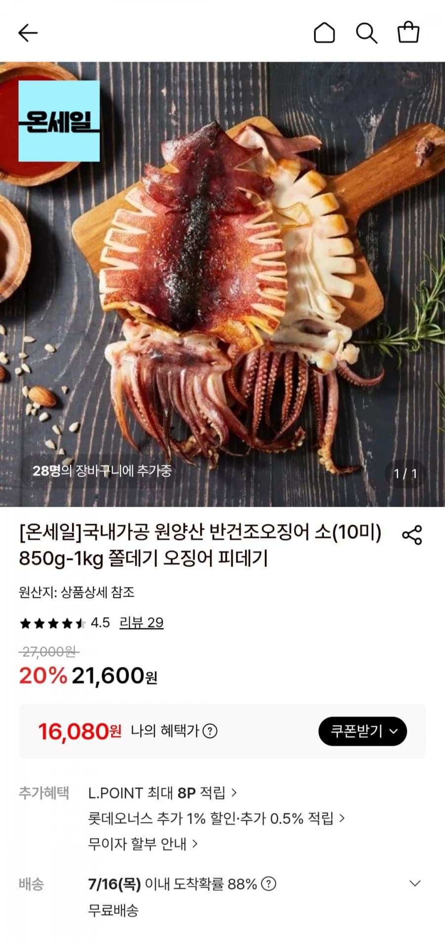 반건조오징어 10미