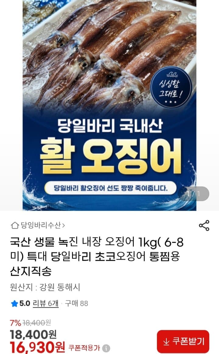 국산 녹진 내장 오징어 1kg