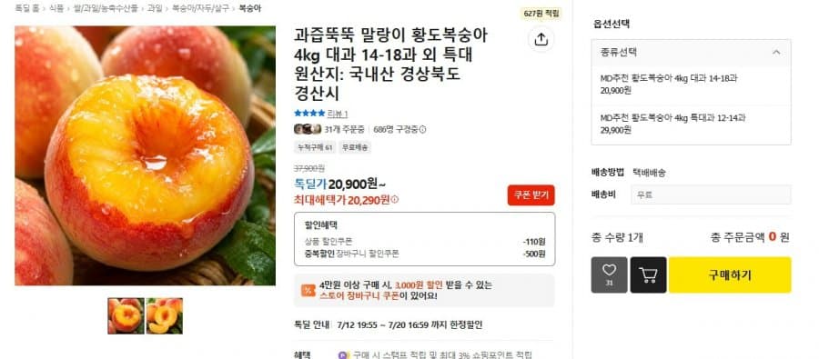 황도복숭아 대과 4kg
