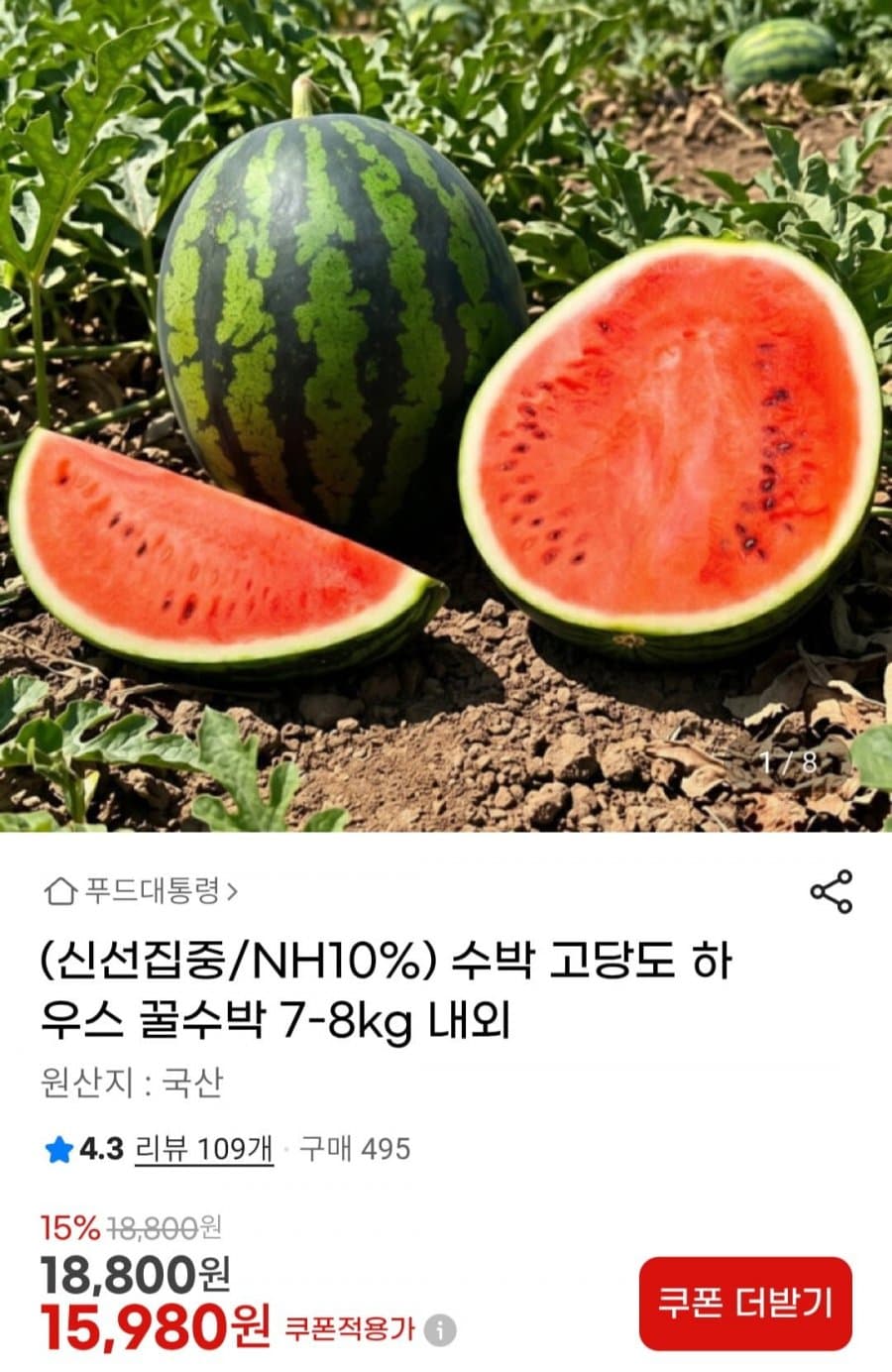 고당도 하우스 꿀수박