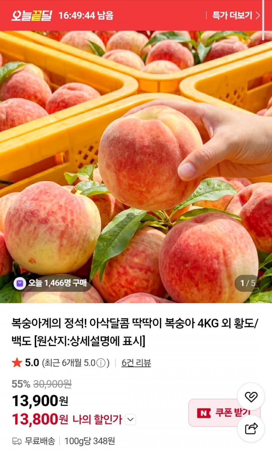 딱딱이 복숭아 소과 4KG
