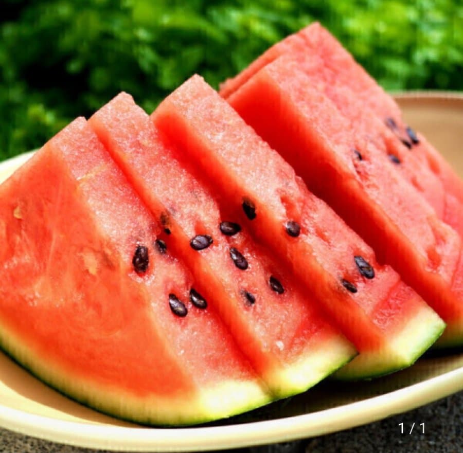 경북 고당도 수박 7~8kg