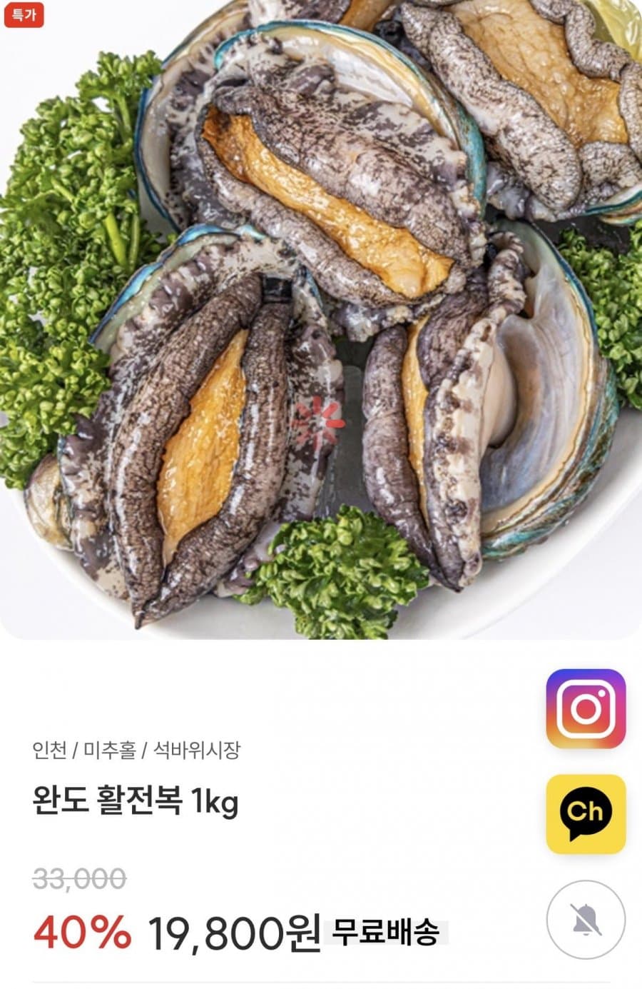 완도 활전복 9~10미